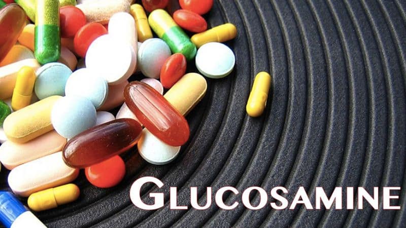 Tìm hiểu thành phần Glucosamine trong sữa Boca Sure