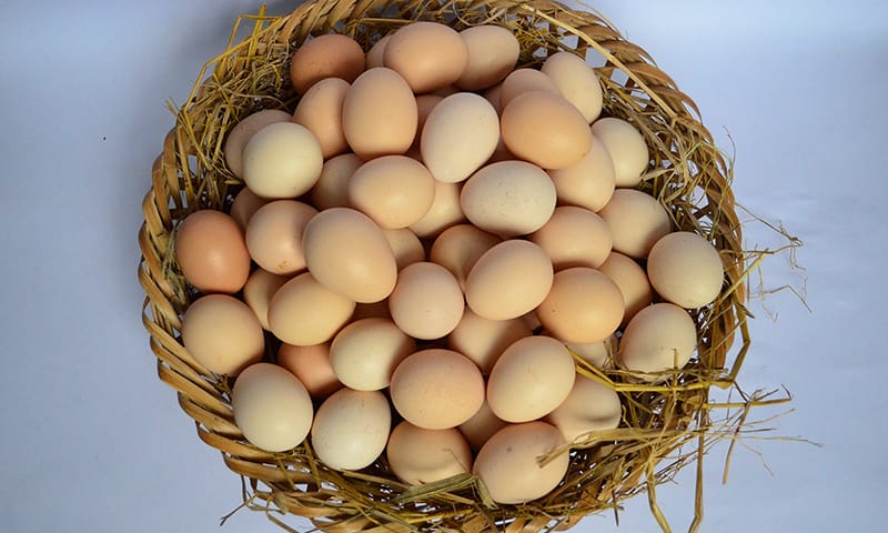 Trứng chứa hàm lượng vitamin D cao rất tốt cho hệ xương